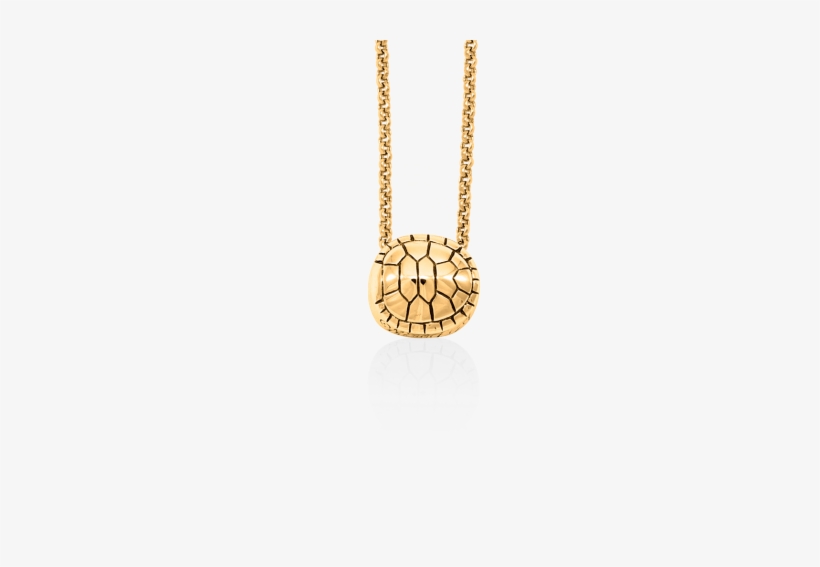 Tortoise Pendant - Chain, transparent png download