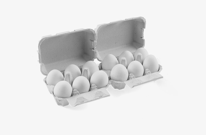 Egg Boxes Flattop - Egg, transparent png download