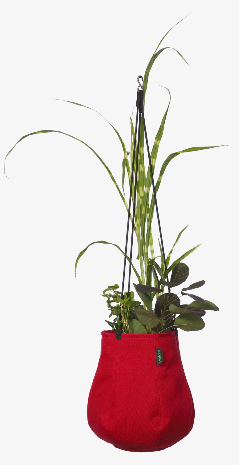 Velda Water Bag M, Couleur Unique, transparent png download