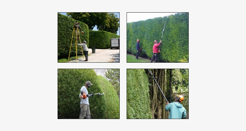 Landscape Services Dallas Lawn Care - Dallas, transparent png download