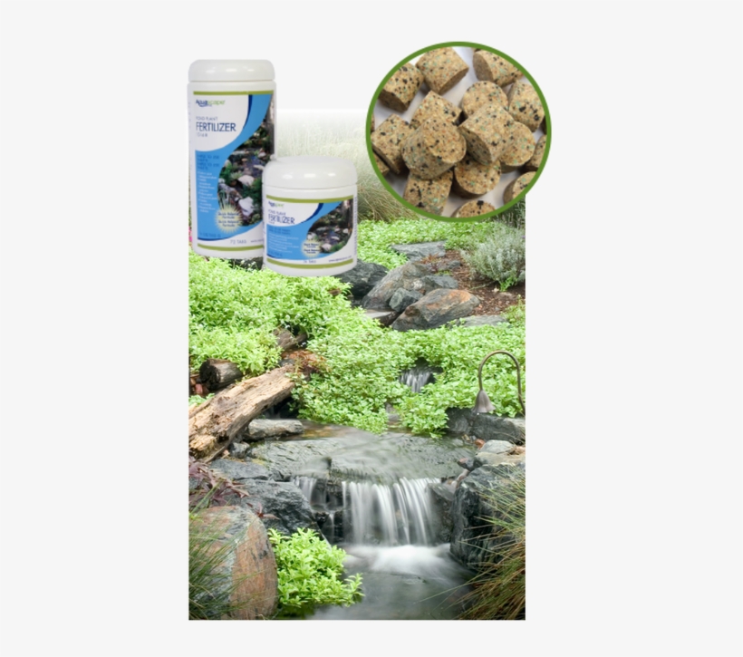 Aquatic Plants & The Fish Waste Nutrients That Feed - Streams, transparent png download