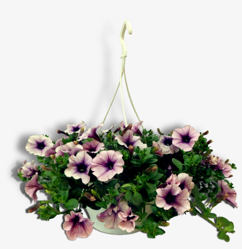 Visit - Bouquet, transparent png download