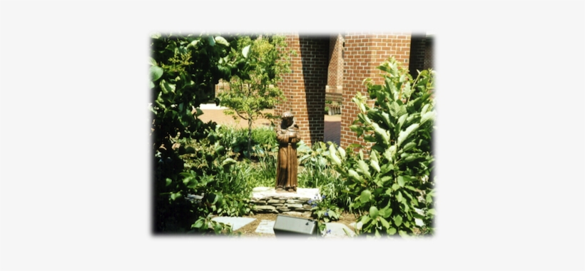 Sitting On One Of The Several Benches Throughout The - Yard, transparent png download