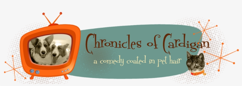 The Chronicles Of Cardigan - Cat Girl Ornament (round), transparent png download