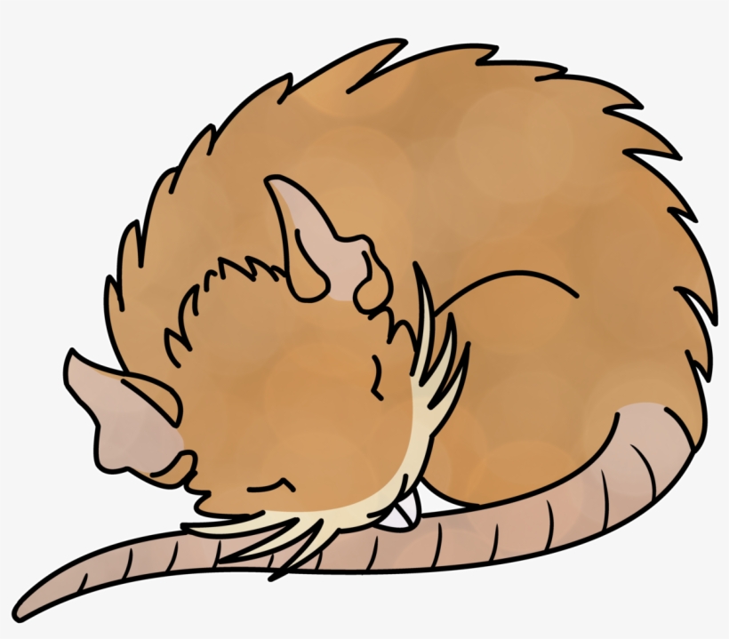 Pokemon Raticate Pkmnart Artists On Tumblr Illustration - Illustration, transparent png download