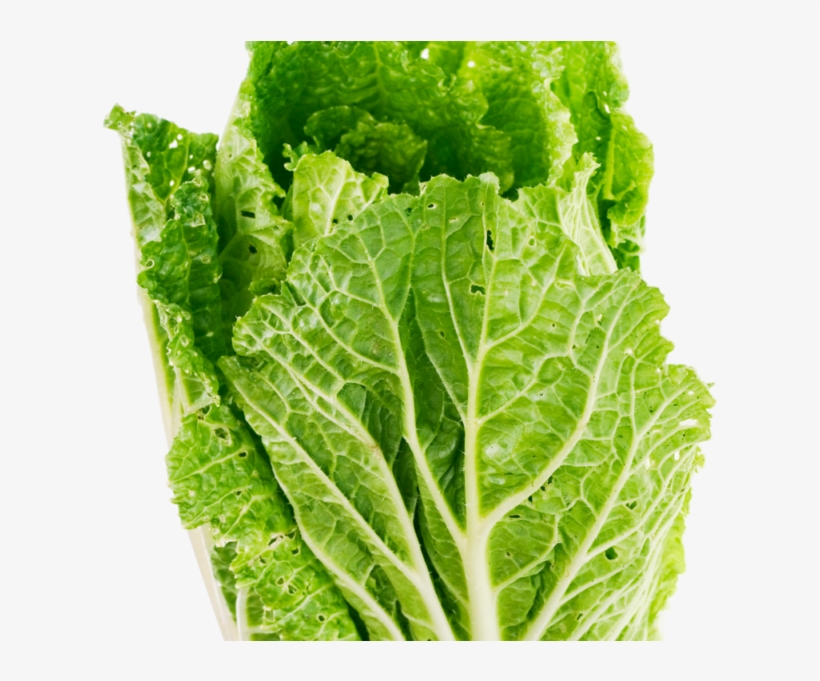 Lettuce Leaf Png Image - Lettuce Png, transparent png download