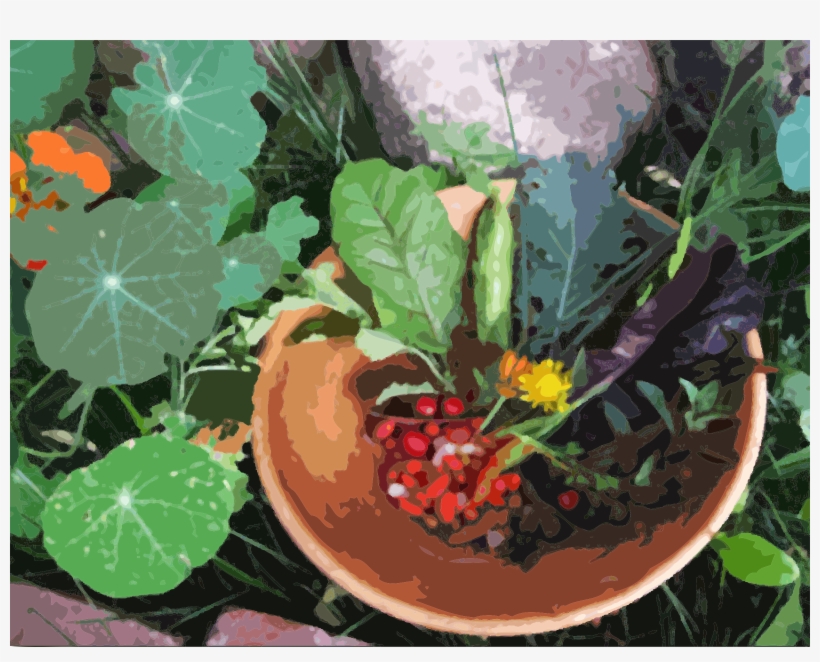 Big Image - Leaf Vegetable, transparent png download