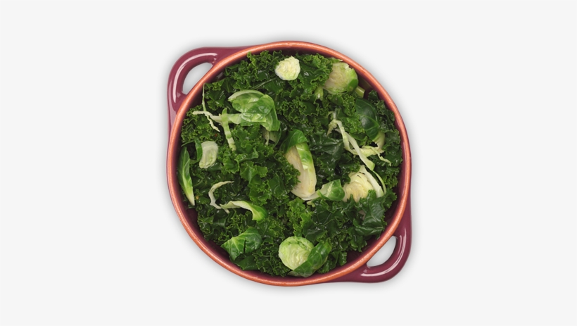 Power Essence Is Available In 3 Varieties Go - Electric Guitar, transparent png download