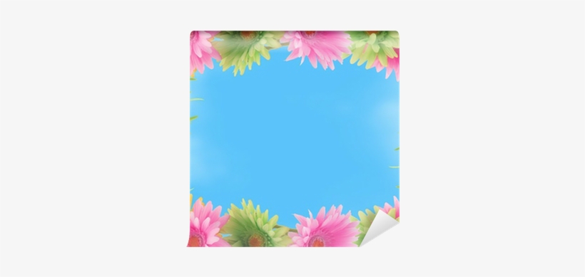 Picture Frame, transparent png download