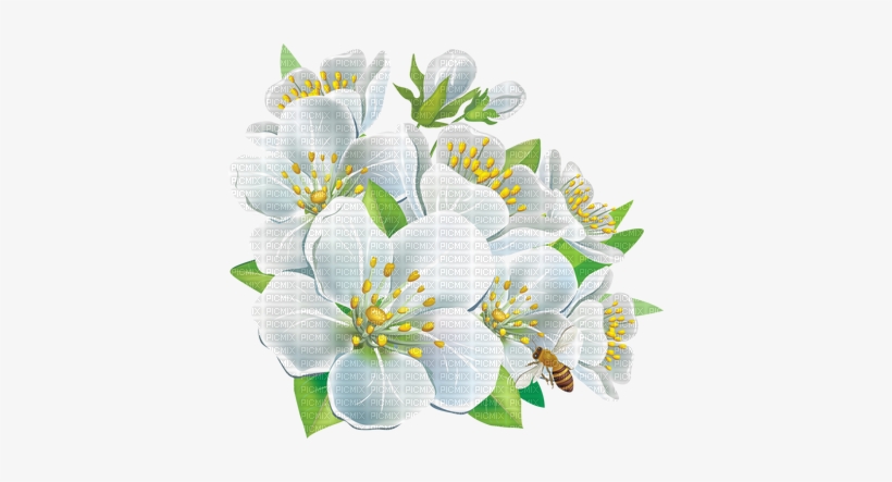 Flowers - Hd Clipart White Flowers Png, transparent png download