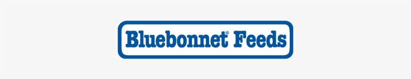 Blue Bonnet - Bluebonnet Feeds Futurity, Derby & 5d, transparent png download