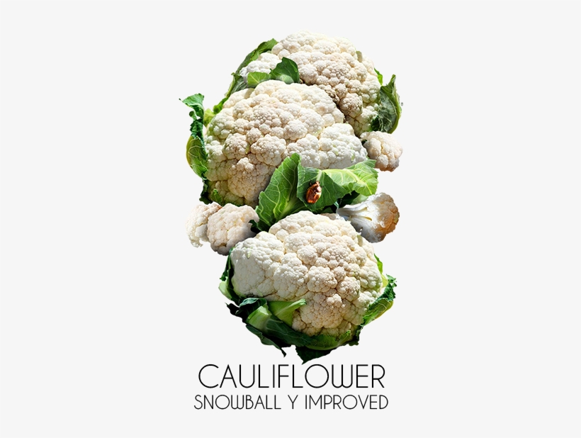 Cauliflower, transparent png download