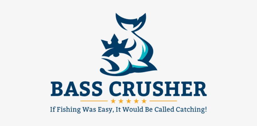 Plusinno Fishing Net Fish Landing Net, Foldable Collapsible - Health Blog, transparent png download