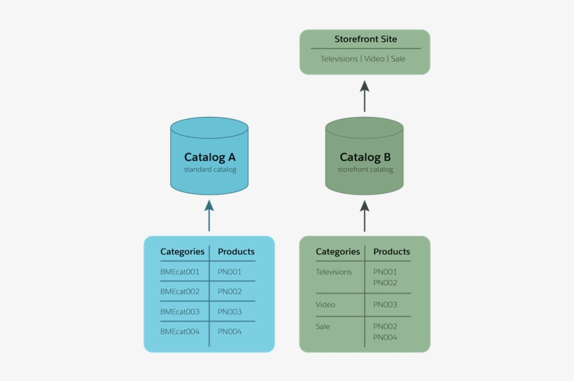Best Practice Is To Use Two Catalogs - Storefront, transparent png download