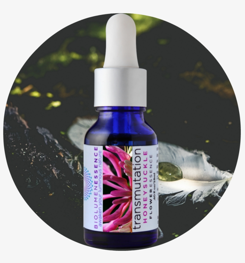 Transmutation Circle - 22 Dias De Relaxamento - Música Relaxante Para O Seu, transparent png download