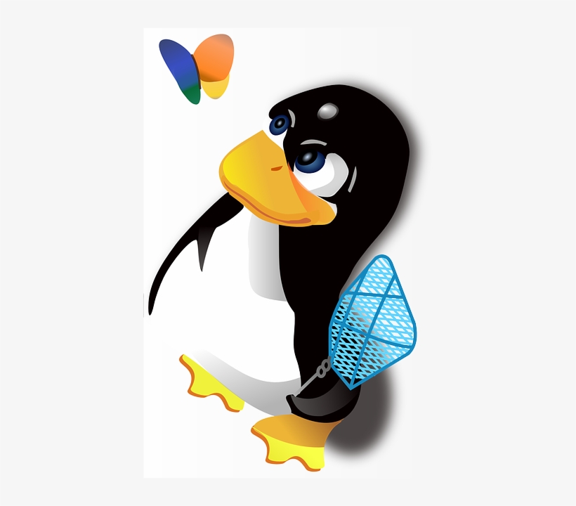 Penguin, Antarctica, Cold, Polar, Cartoon - Tux Linux, transparent png download