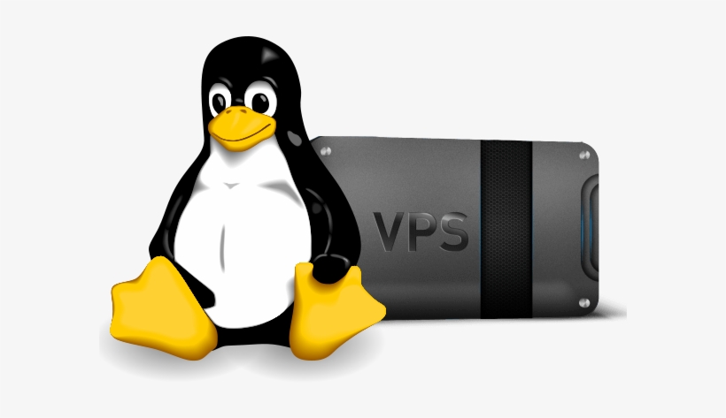 Linux Hosting Clipart Penguin - Linux Vps Hosting, transparent png download