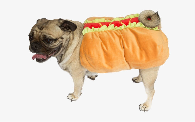 hot dog clothes