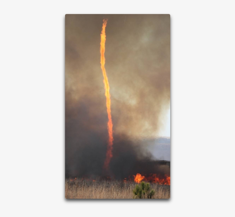 Firedog Ii - Painting, transparent png download