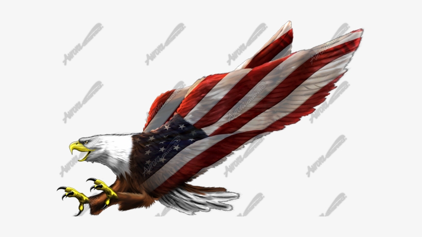 Aurora Graphics Eagle, transparent png download