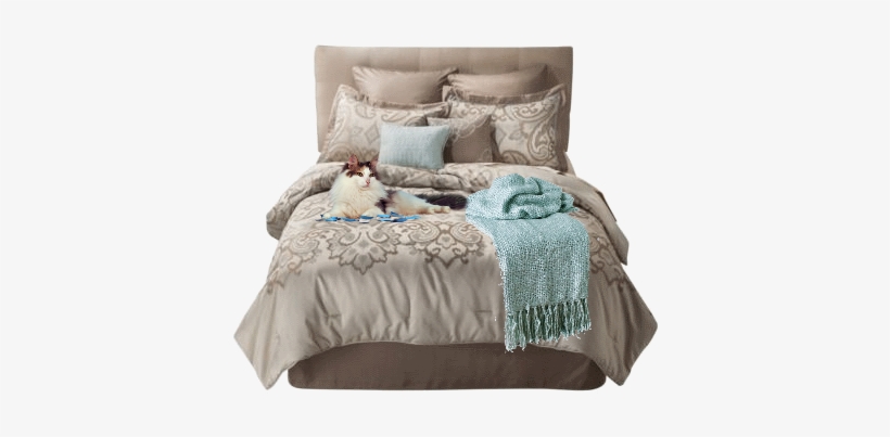 Photo Zpse523b63a2 Zps5a0bd335 - Bed Sheet, transparent png download