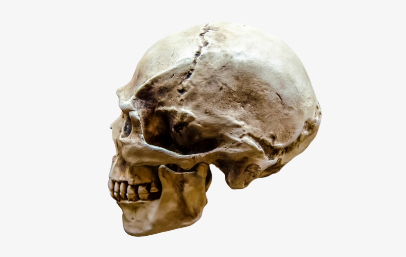 Typhon Inc.: Volume 2 (the Gray Hat Series), transparent png download