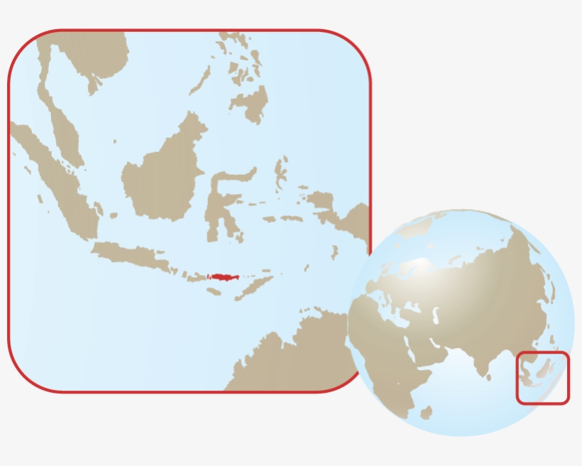 Komodo Dragon - Dispute Over The Diaoyu/senkaku Islands: Challenge, transparent png download