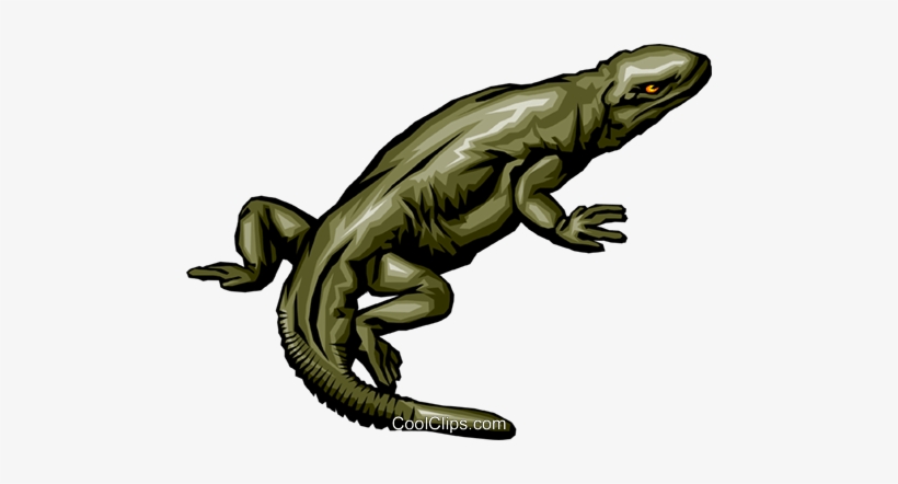 Komodo Dragon Clip Art - Lagarto Vetor Png, transparent png download
