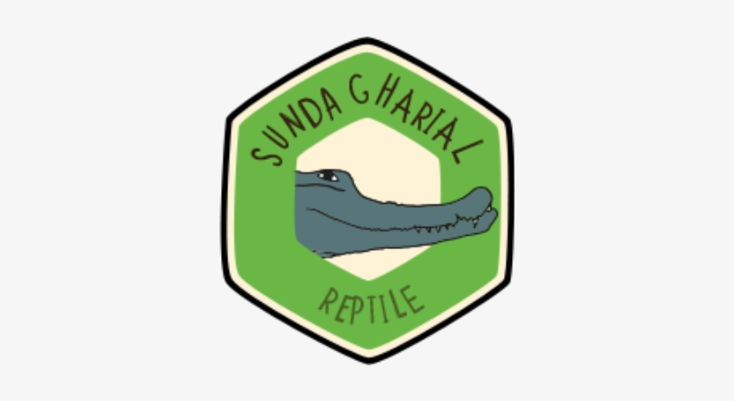 More We Think You'll Love, transparent png download