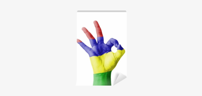 Hand Making Ok Sign, Mauritius Flag Painted Wall Mural - Bye Bye, Connard [book], transparent png download