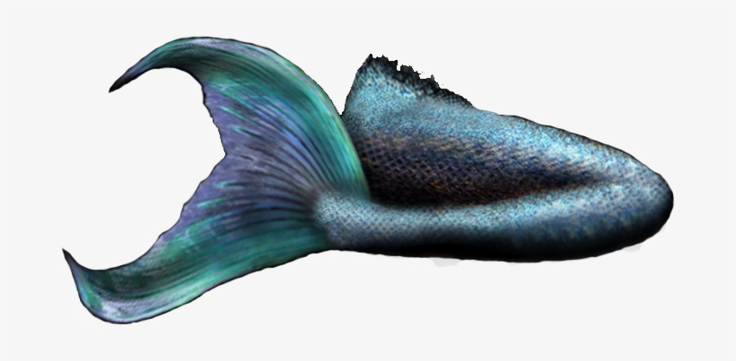 Mermaid Tail 2 Officialpsds - Transparent Mermaid Tail Png, transparent png download