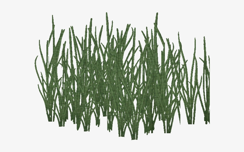 Sago Water Grass - Artificial Turf, transparent png download