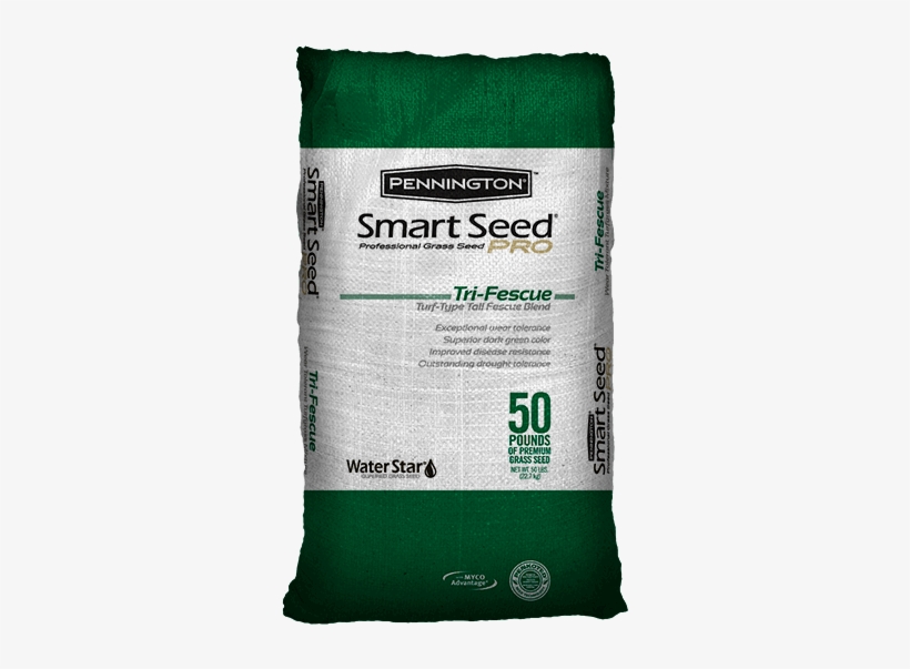 Pennington Tri Fescue Blend, transparent png download