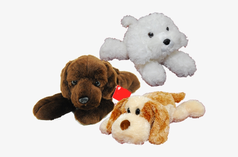 Soft Puppy - Dog, transparent png download