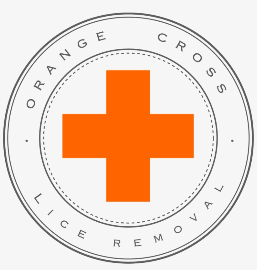 Use Caution When Considering In Home Lice Treatment - Gameboy Measurements, transparent png download