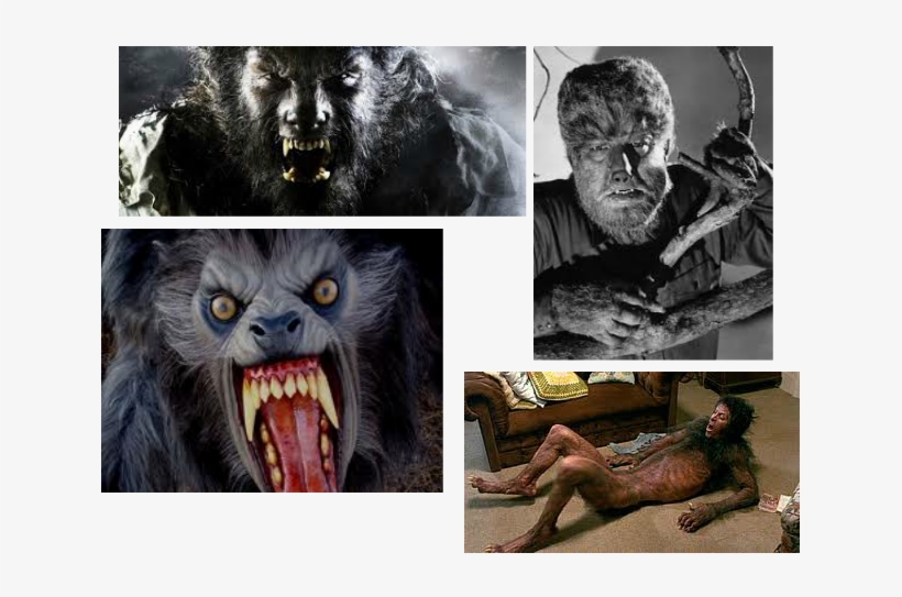 The Wolfman Starring Benicio Del Toro, Anthony Hopkins, - Zodiac Movie Thriller Drama Jake Gyllenhaal 32x24 Print, transparent png download