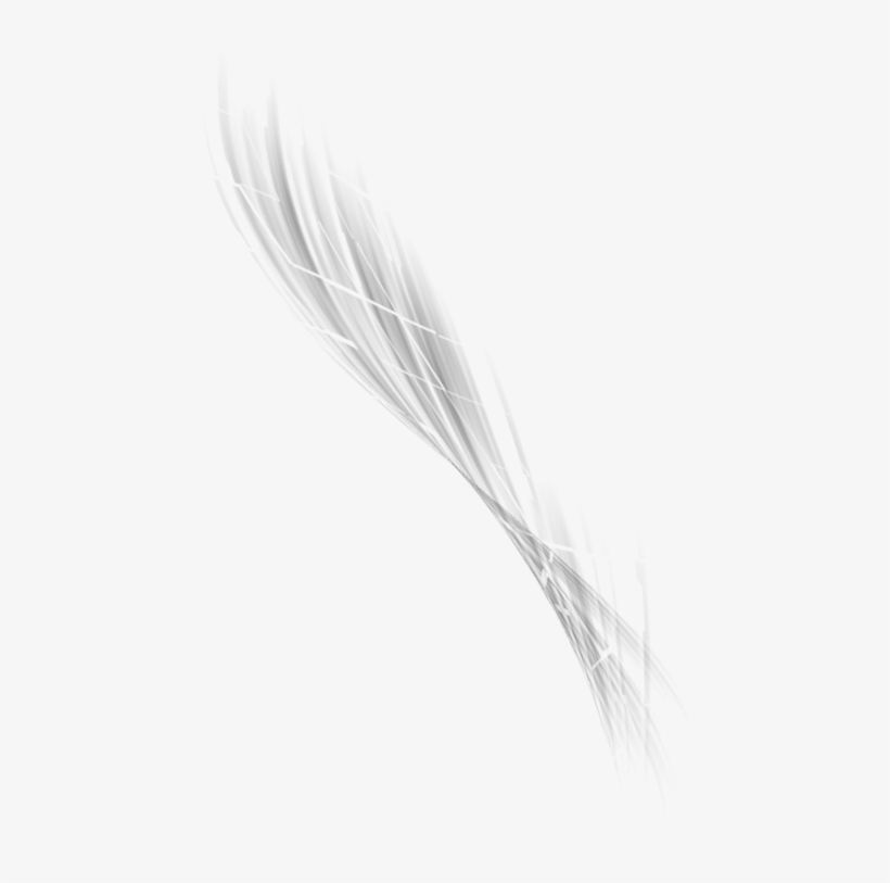 Image Abstract Png - Einkorn Wheat, transparent png download