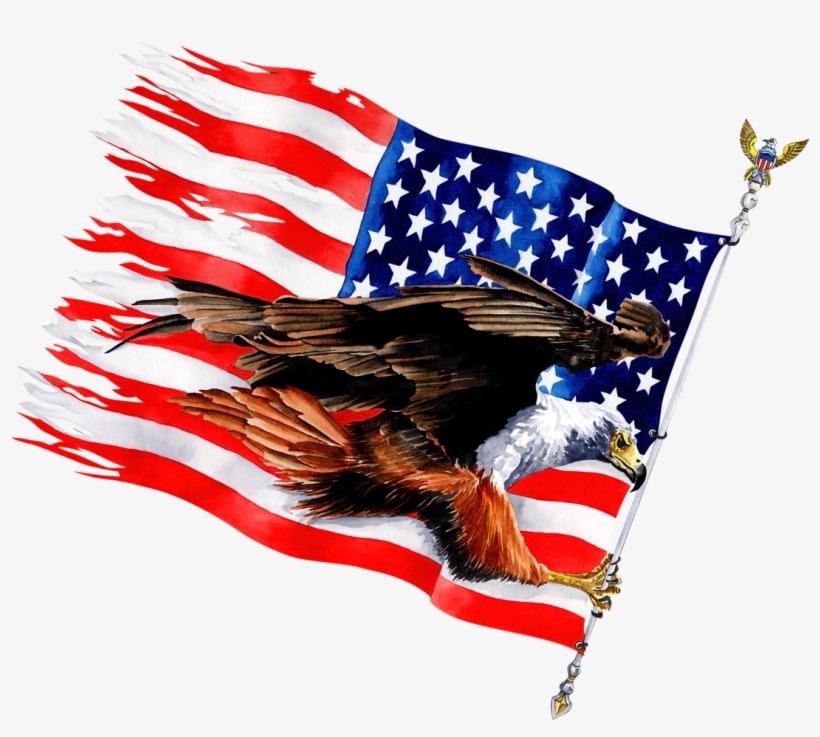 Flying Eagle Flag - Printed T-shirt, transparent png download