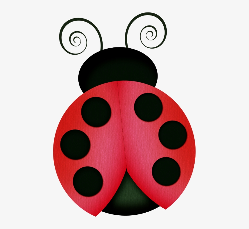 Sapos Ranas Aves Plantas Flores Cintas Marcos Mo U00f1os - Mariquita Infantil Png, transparent png download