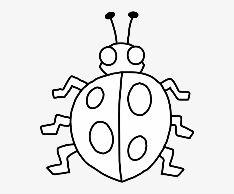 Ladybug - Insect Clipart Black And White, transparent png download