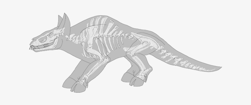 No-one\o/ - Triceratops, transparent png download