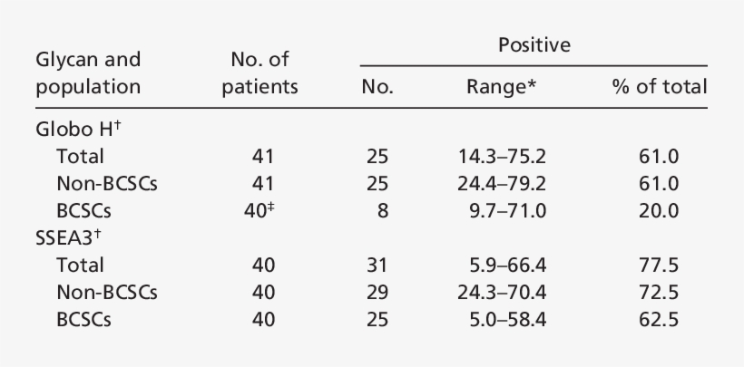 A Comparison Of Globo H And Ssea3 Expression In Bcscs - 身份 证 号码, transparent png download