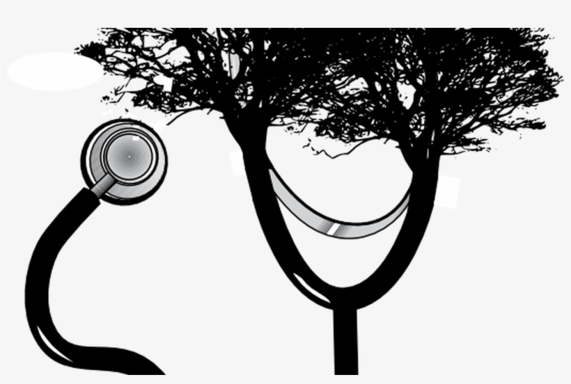 Stethoscope Apple Banner Freeuse Techflourish Collections - Oak Tree Silhouette, transparent png download