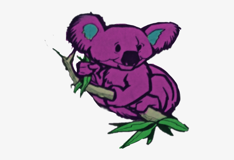 Koala, transparent png download