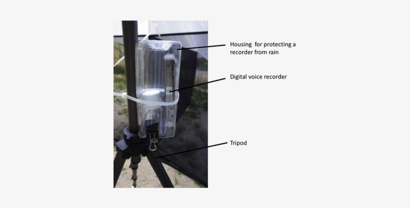 Fig2 - Security Lighting, transparent png download