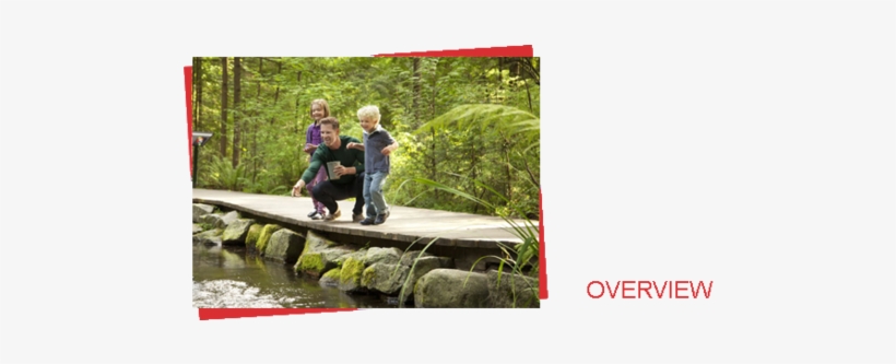 Glass Box Projects - Capilano Suspension Bridge, transparent png download