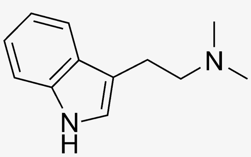 Psilocin - 4 Ho Dmt, transparent png download