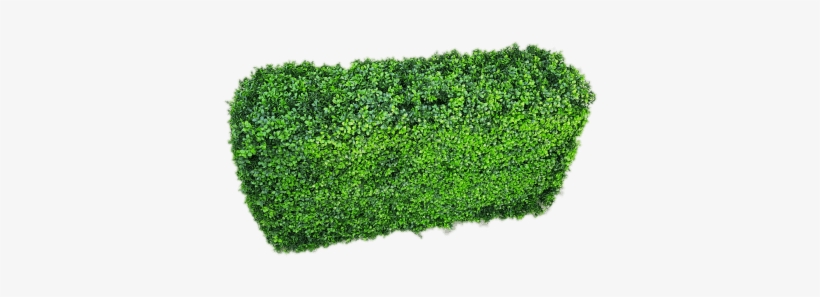 Artificial Buxus Hedge - Box, transparent png download