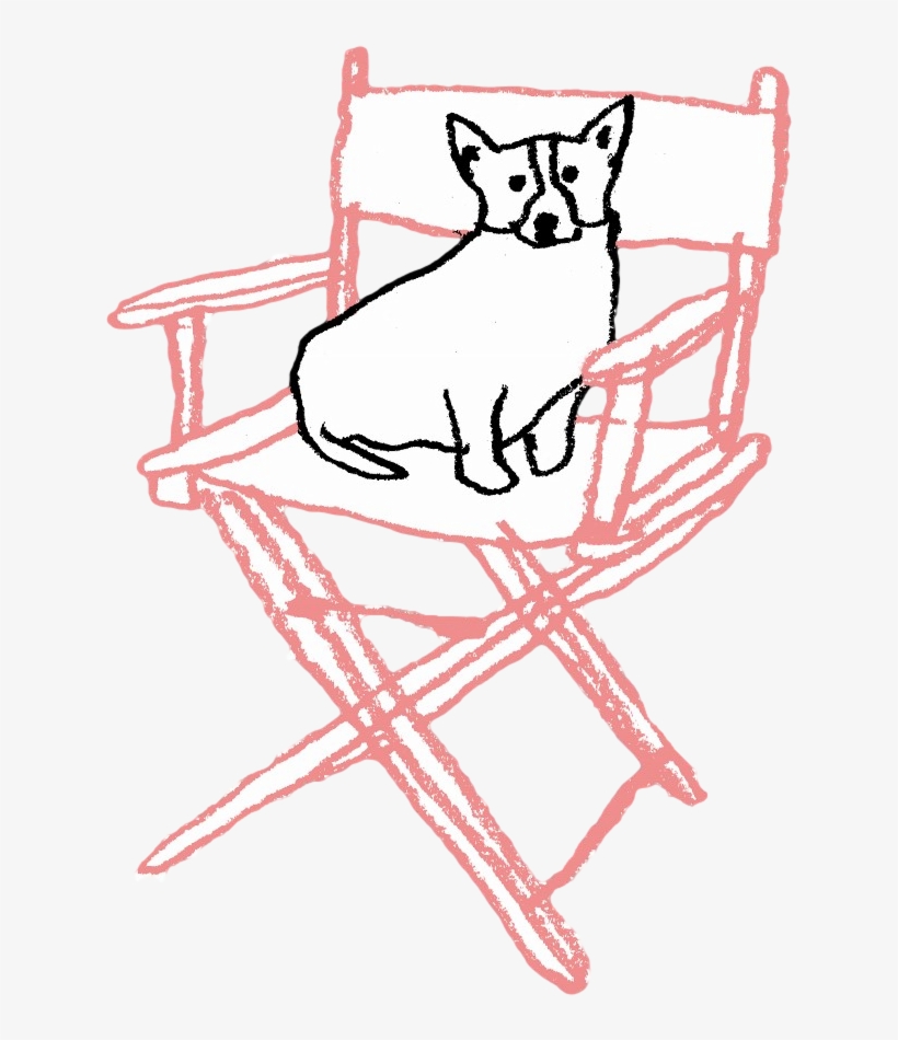 In The Director's Chair - Film, transparent png download