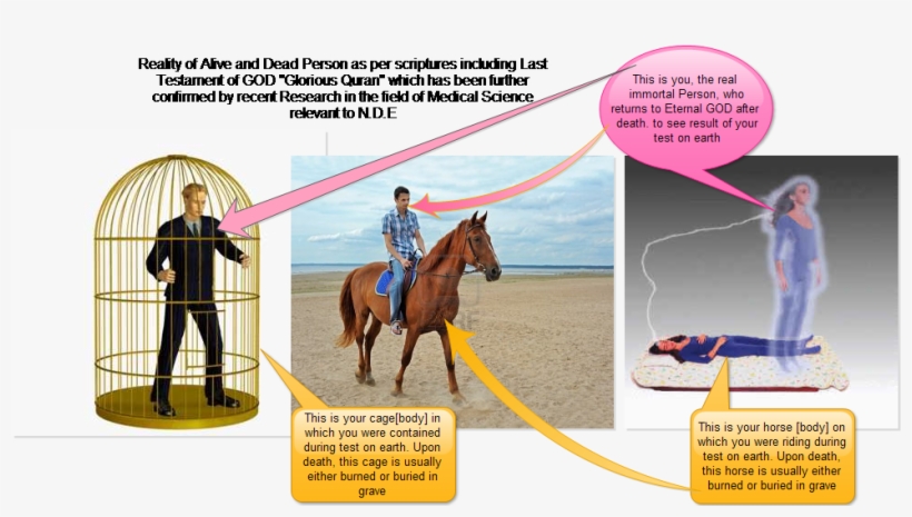 Old Grave Rip Rest In Peace On A Cemetery Editorial - Reality Of Death In Islam, transparent png download